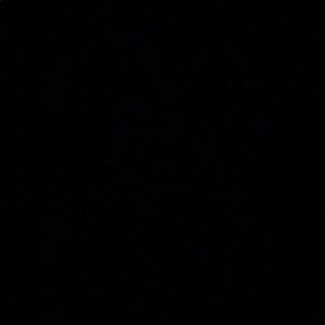 Meet your Posher, Dennis